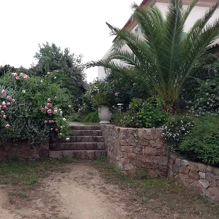 Lucia Villa *